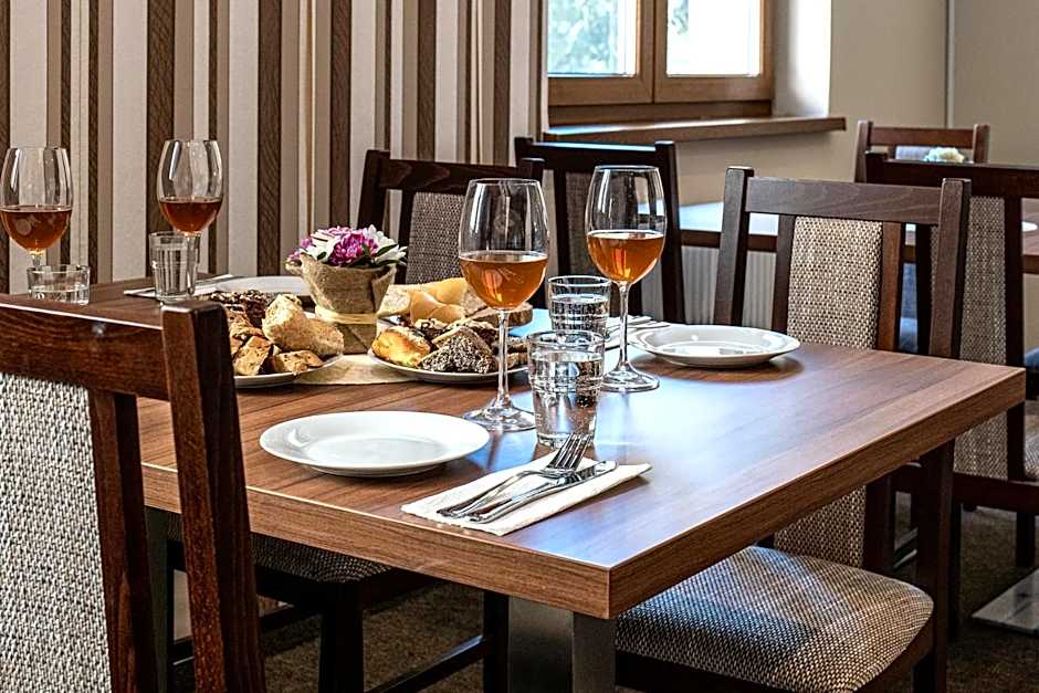 Wellness Hotel pod Kyčmolem