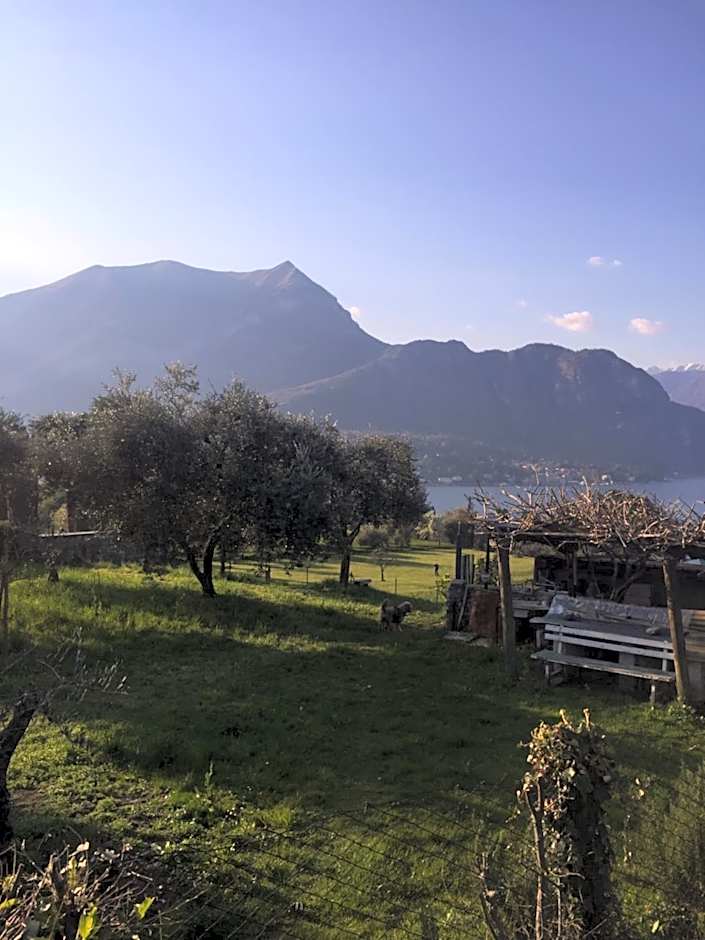 Aqua&Co Bellagio - Eco conscious stay