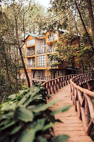 Kasauli Hills Resorts