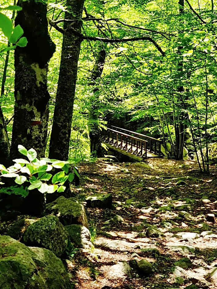 Hôtel Restaurant U Castellu Vizzavona