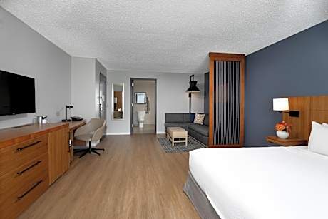 King Room with Sofa Bed and Roll-In Shower - Disability Access