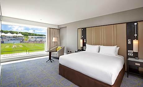 Junior King Suite with View