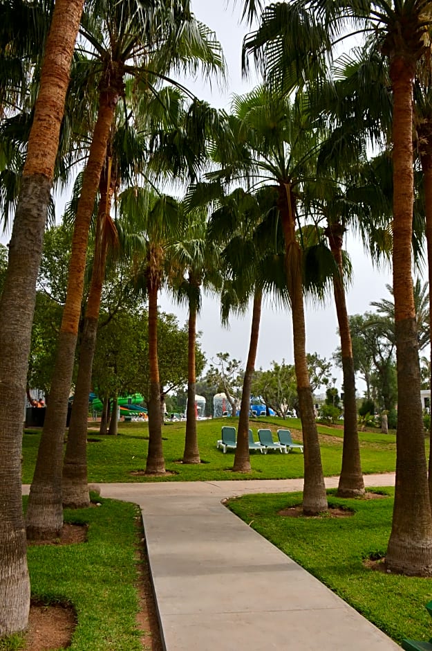 Valeria Les Jardins D´Agadir