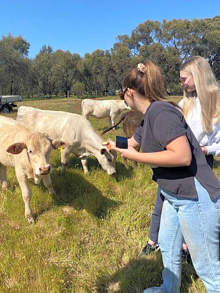 Sandalwood Downs Fabulous Farm Stay TOODYAY