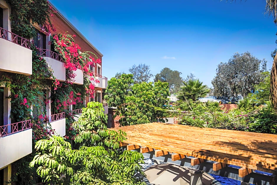 Gamma Tijuana