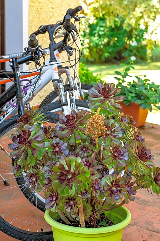 Residence Il Paradiso