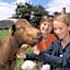 Smiths Farm Holiday Park