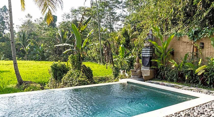 Bali Bamboo Jungle Huts And Hostel.