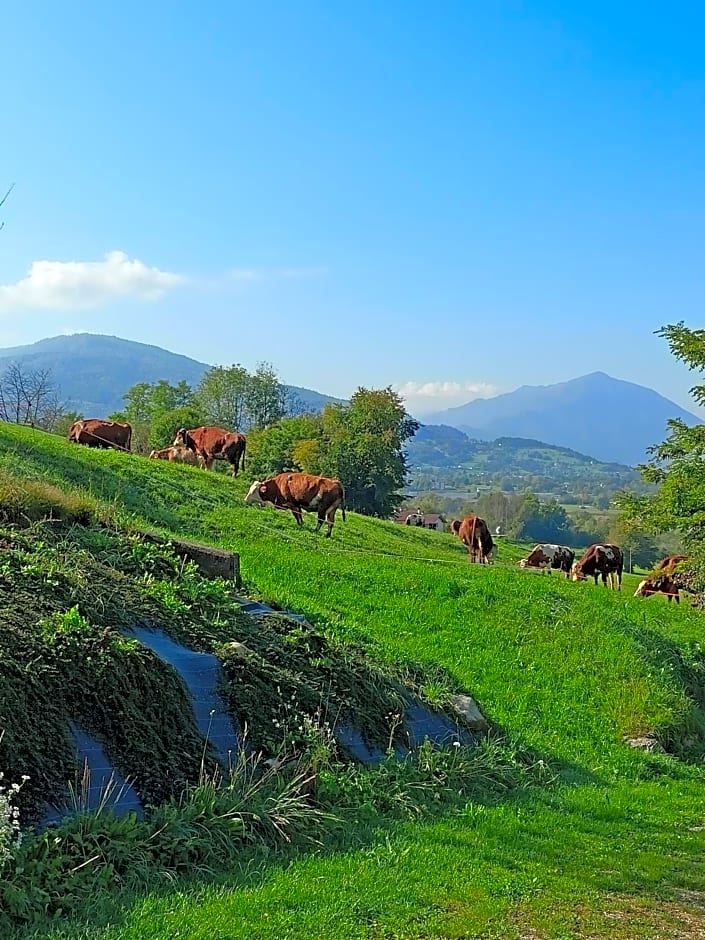 B&B Panorama Dolomiti