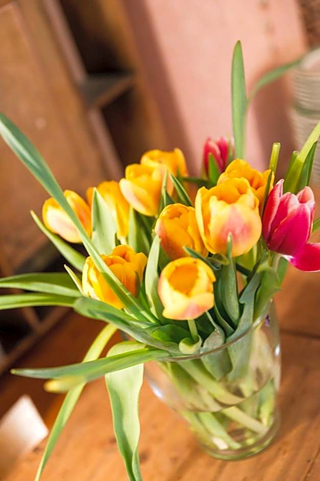 Landhotel Huber am See