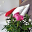 Hotel Forza