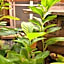 Colours Guesthouse