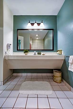 Superior King Room (No Pets Allowed)