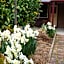 Donalea Bed & Breakfast