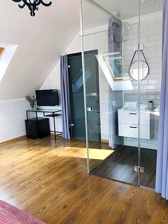 Saskia Dwór & Spa Willa z basenem