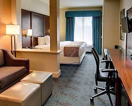 1 King Bed, Suite, Nonsmoking