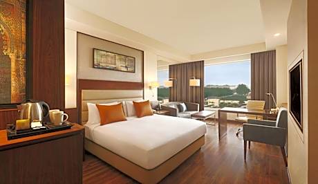 King Guest Room