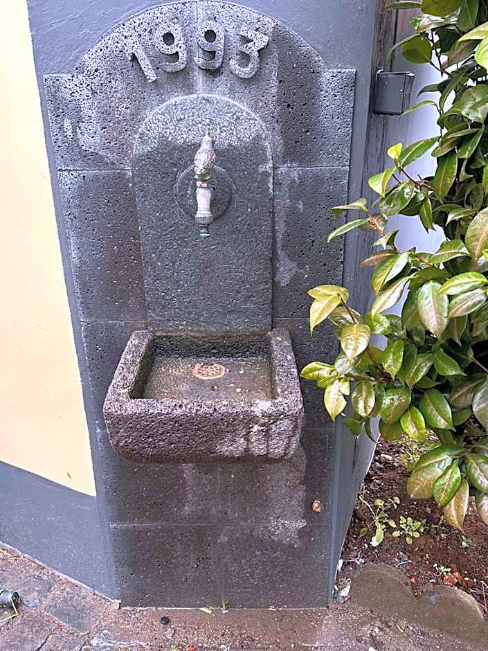 Azor International Hostel