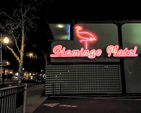 The Flamingo Motel San Jose