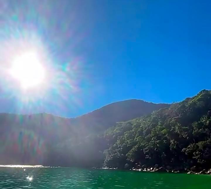 Pousada Floresta verde suítes