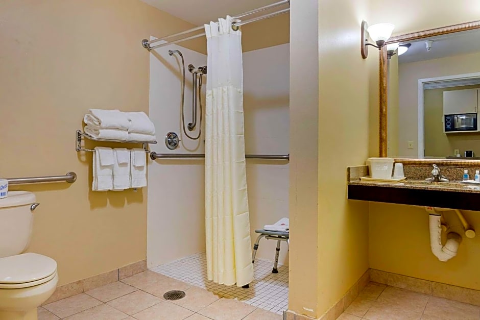 Comfort Suites Savannah North