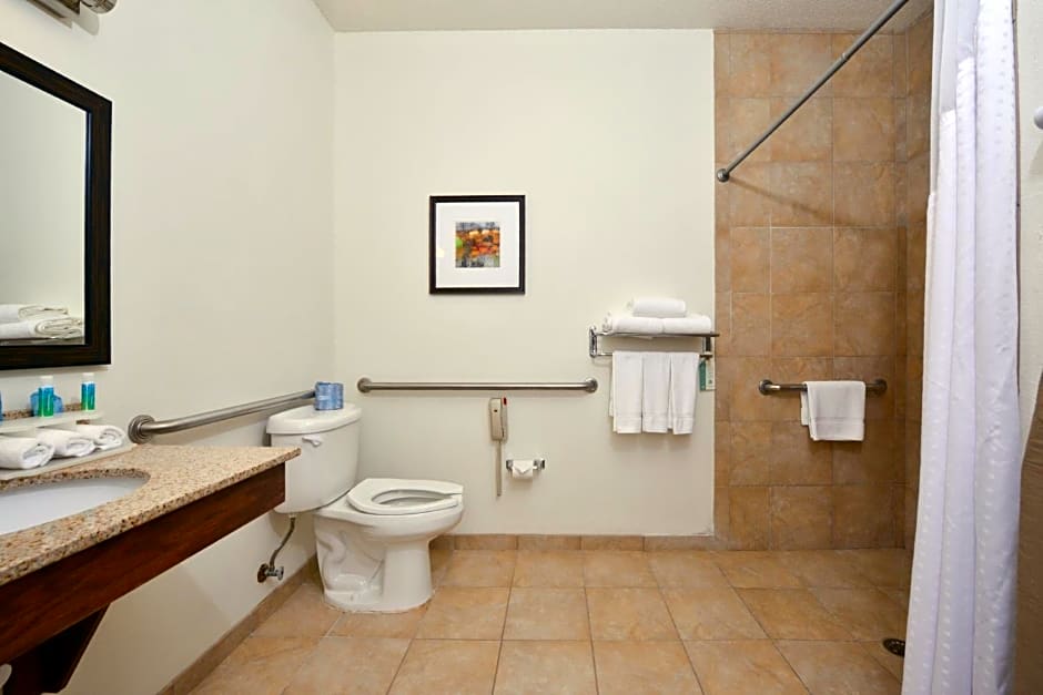 Holiday Inn Express Hotel & Suites Lancaster-Lititz