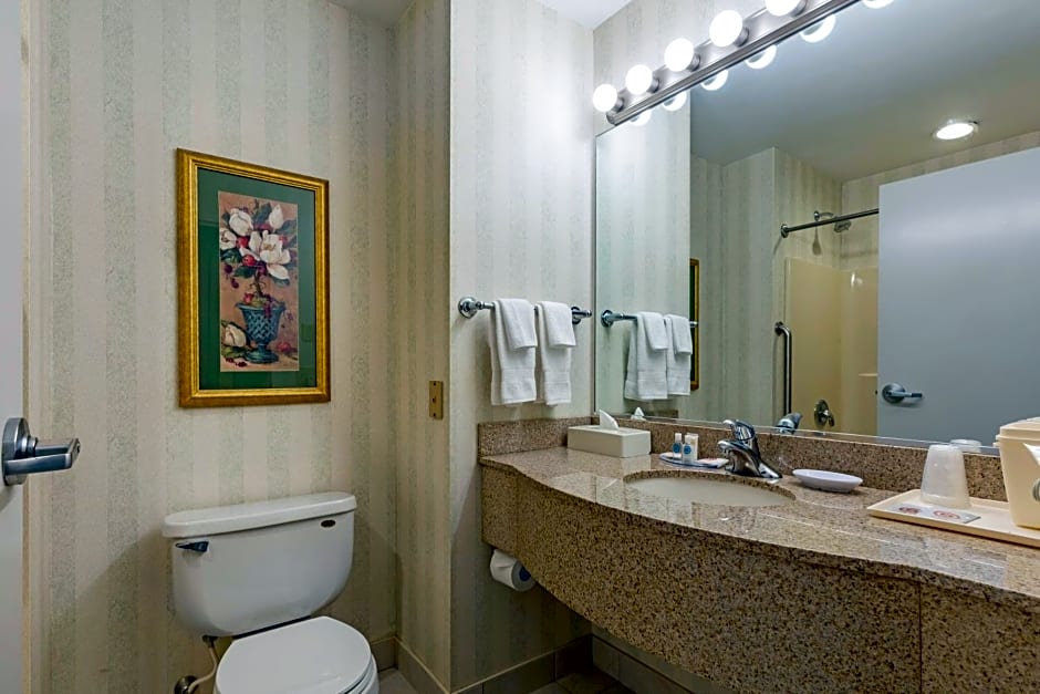 Comfort Inn & Suites East Greenbush - Albany