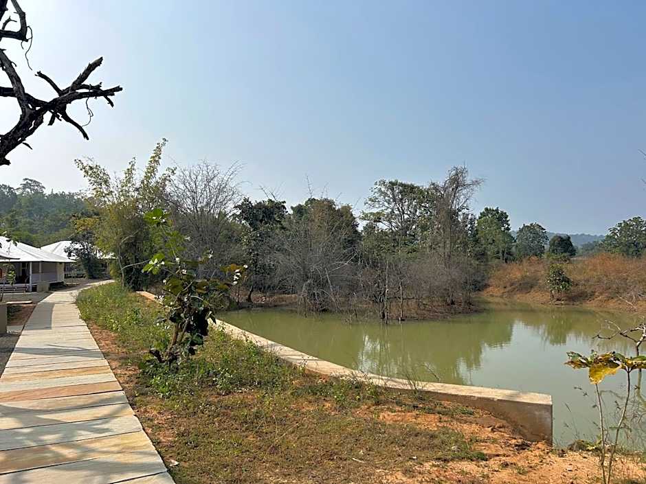 Tree of Life Ramvilas, Bandhavgarh