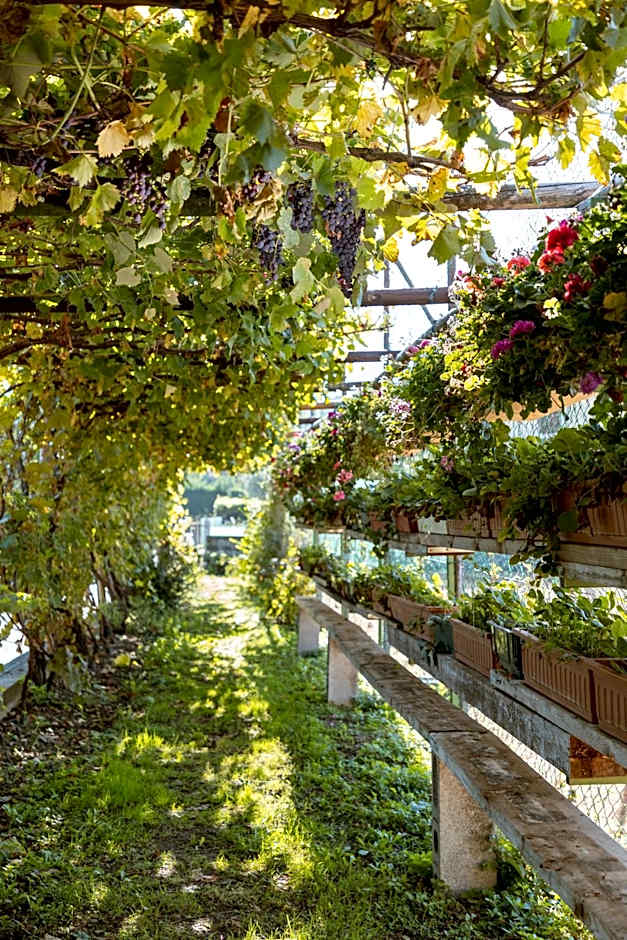 La Quiete Park Hotel