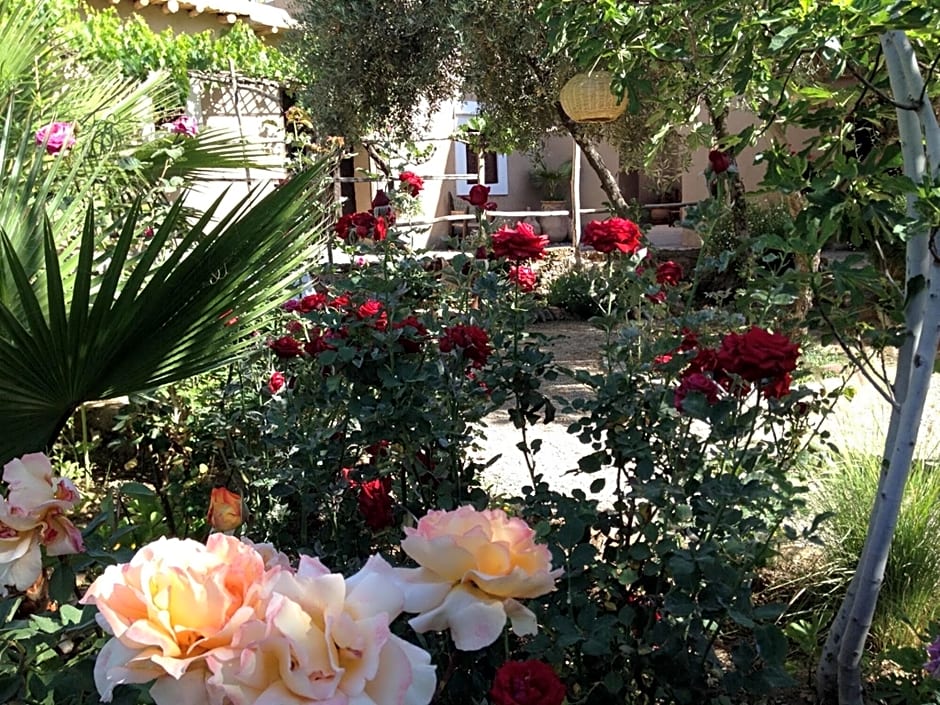 Les Jardins De Skoura