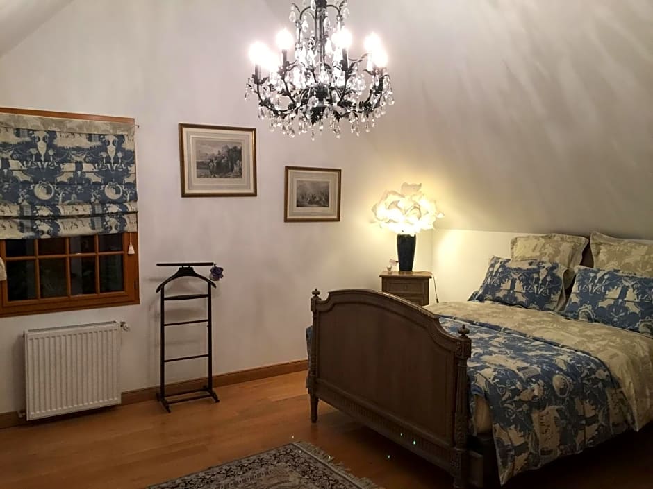 Les Prémices De La Forêt