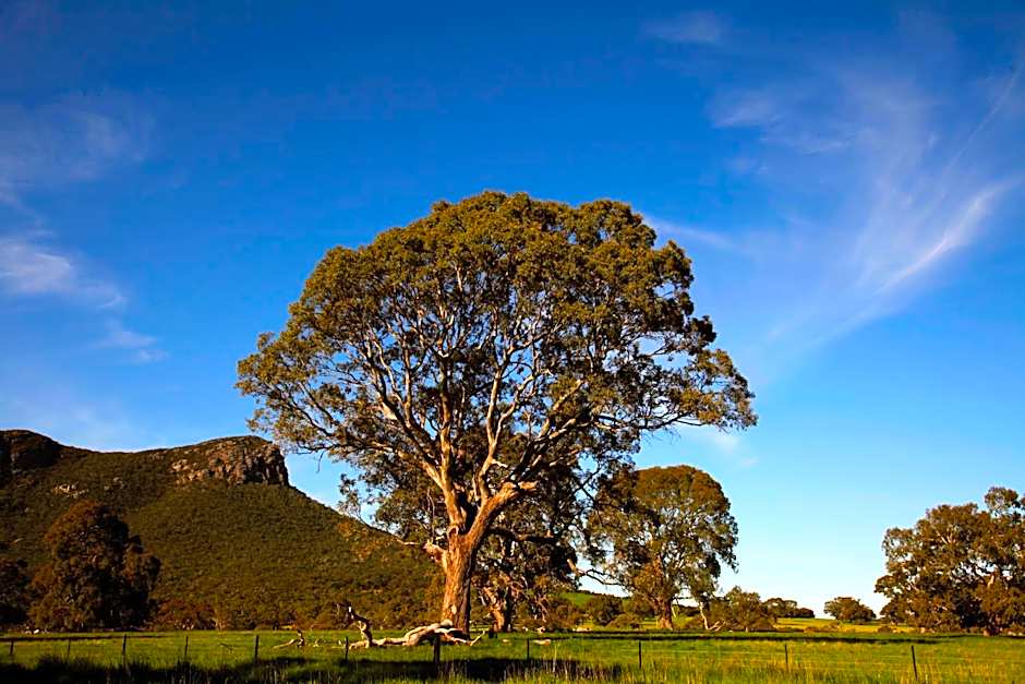Dunkeld Village Accommodation