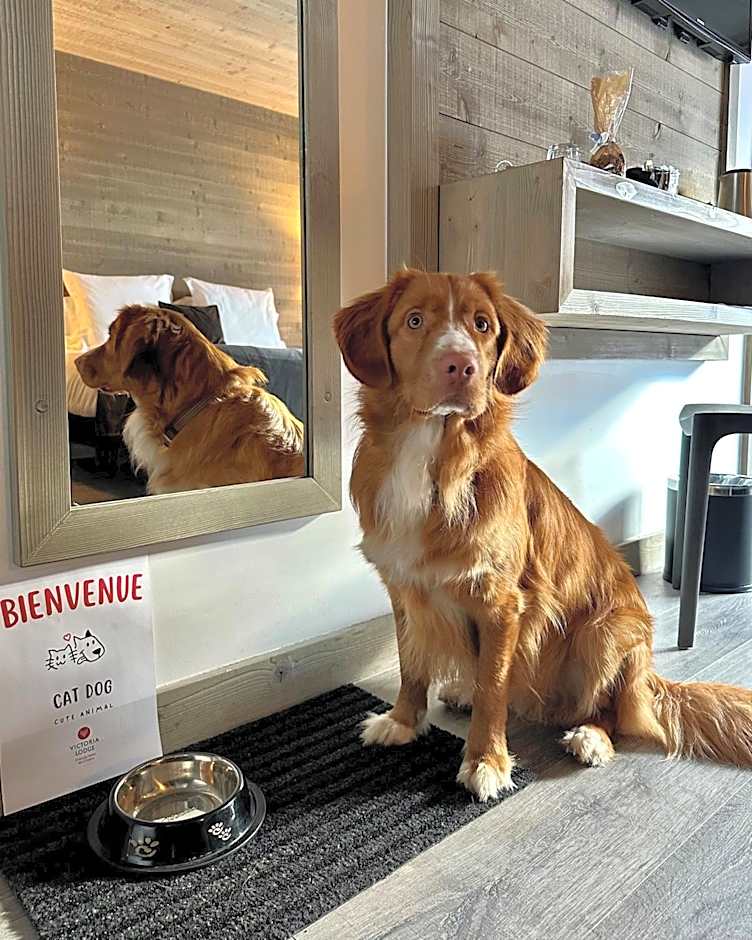 Victoria Lodge, Friendly Hotel