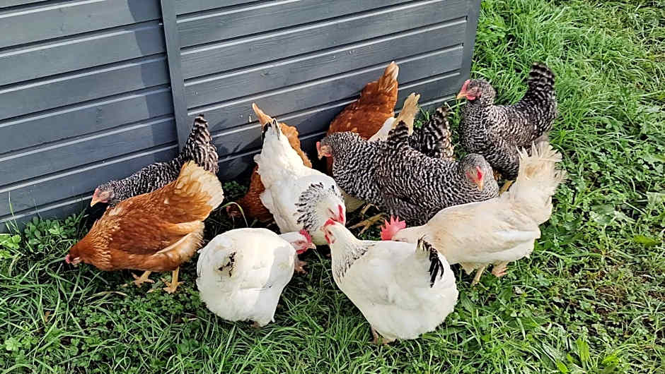 Domaine Le Puits du Moulin