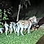 Khululeka Safaris Lodge
