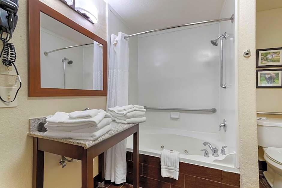 Comfort Inn & Suites Near Six Flags & Medical Center