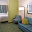 SpringHill Suites by Marriott Charleston Downtown/Riverview