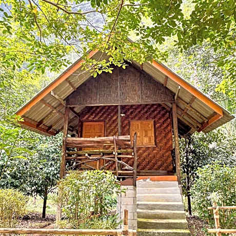 Khao Sok Green Mountain View