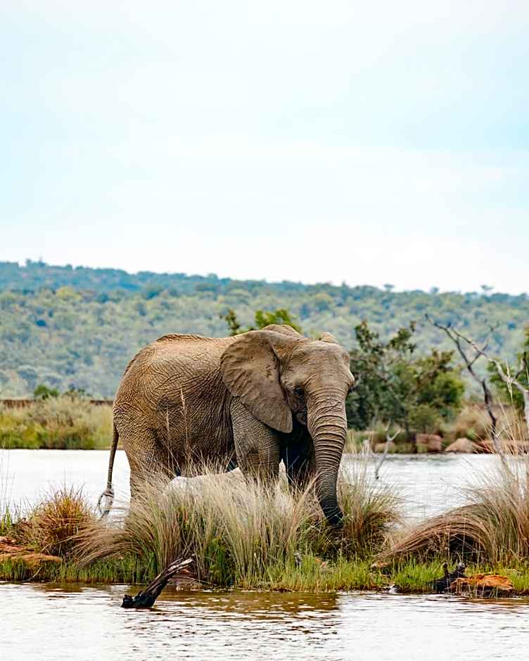 Shambala Private Game Reserve