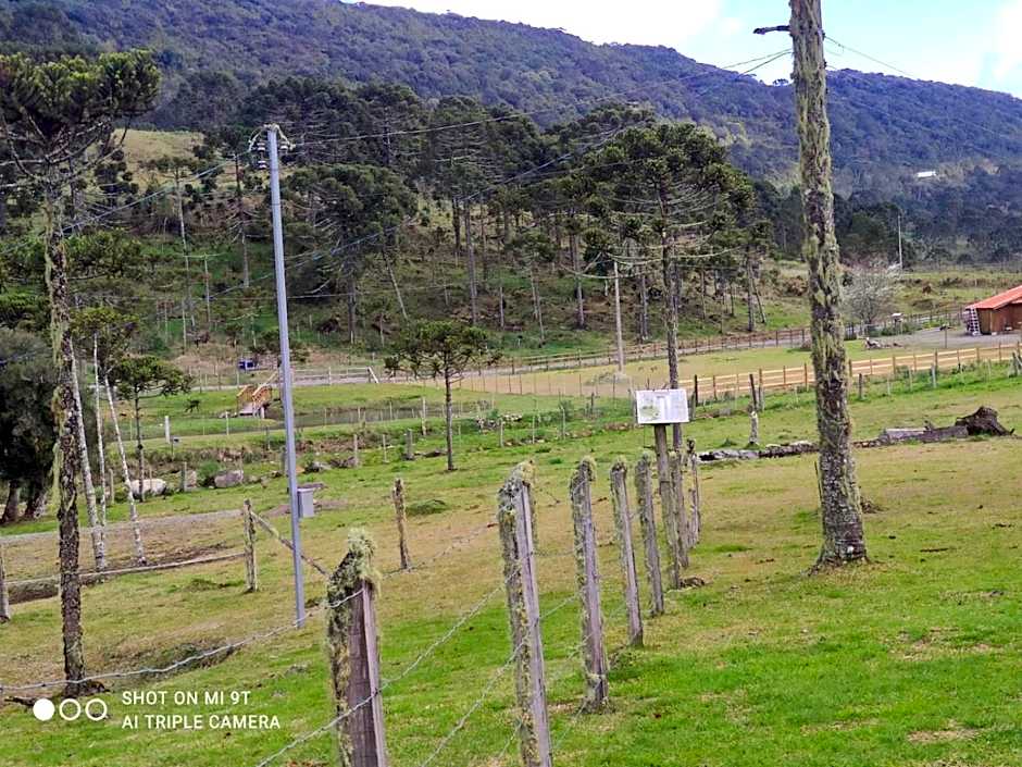 Cabanas das Araucárias