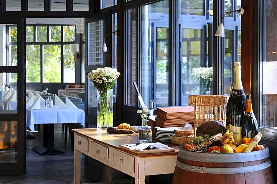 Elbterrasse Wachwitz