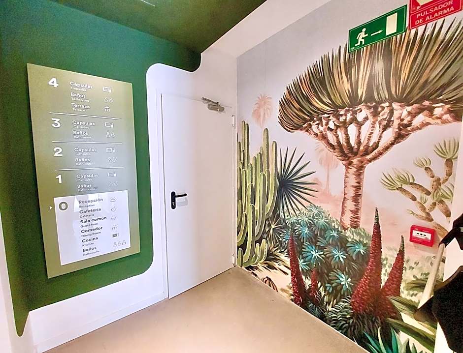 Atypicap Capsule Hostel