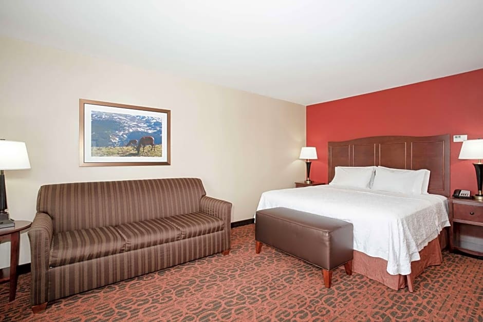 Hampton Inn By Hilton And Suites Denver/South-Ridgegate, Co