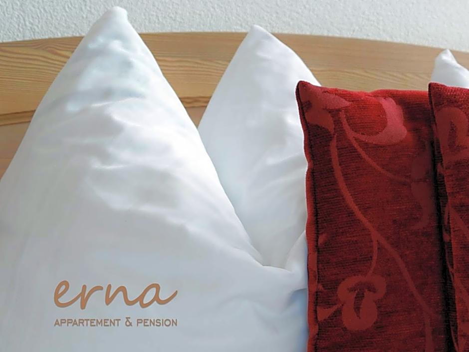 Pension Apartment Erna