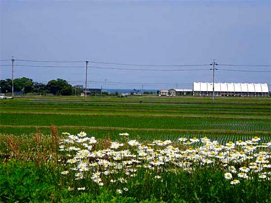 Business Hotel Saigo