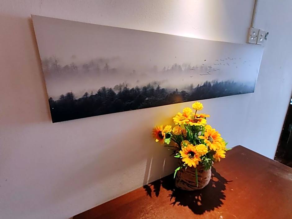 Amy Home Moonlight APARTMENT