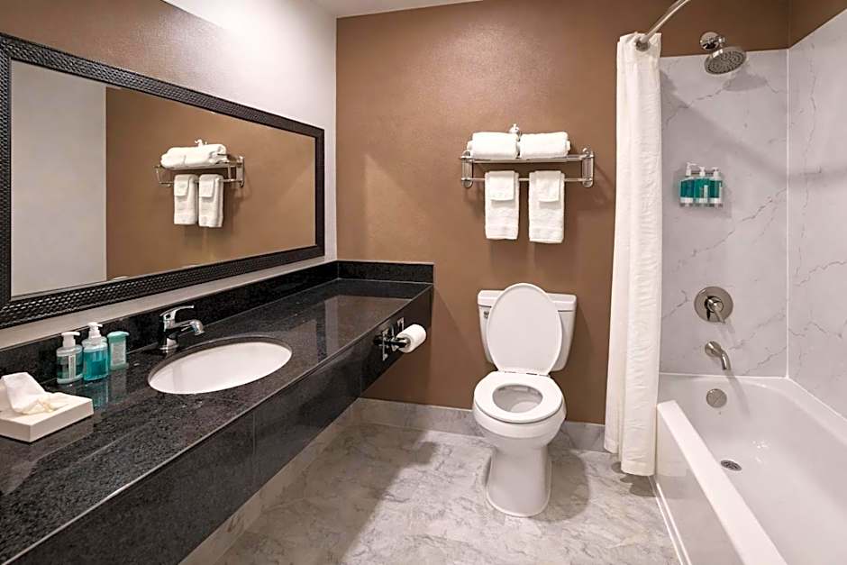 Comfort Inn & Suites Texas City I-45