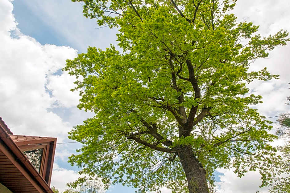Noclegi Pod Dębem u Jakuba