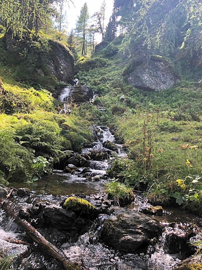 Almhaus & Almchalet Flattnitz