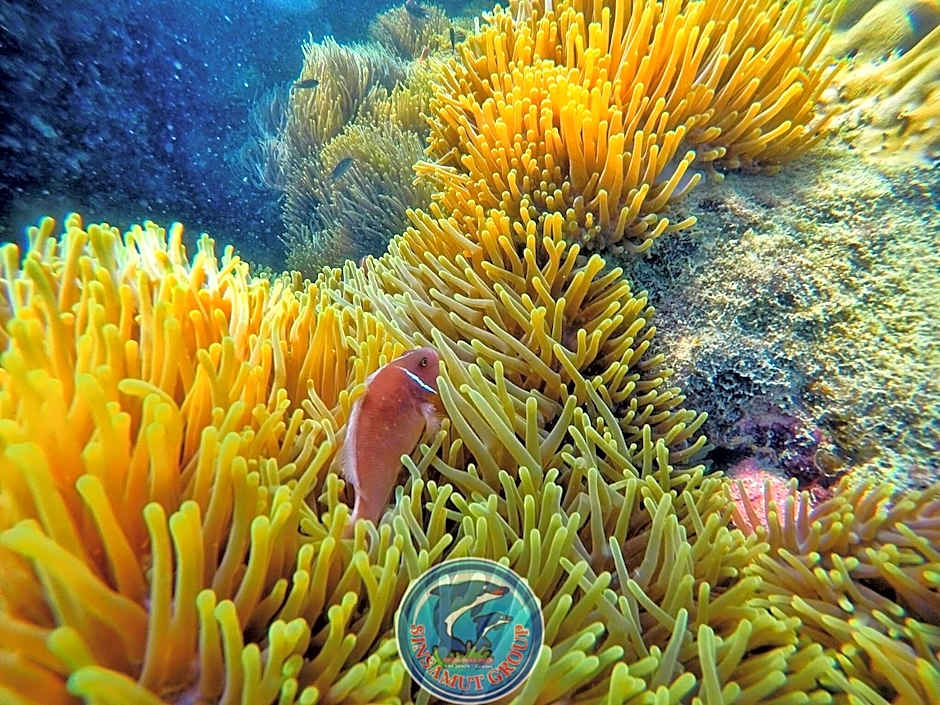 Sinsamut Hotel Koh Samed